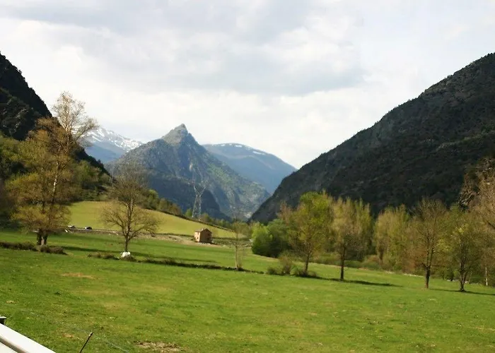Puitavaca *