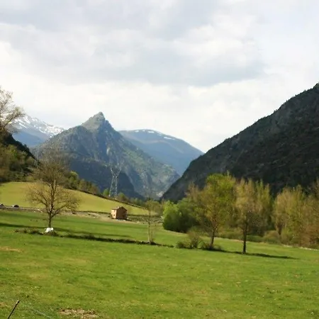 Puitavaca *